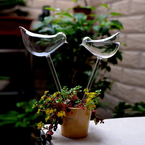 Ampoules en verre pour plantes à arrosage automatique. Achetez des globes et des pointes d'arrosage sur Mounteen. Expédition mondiale disponible.