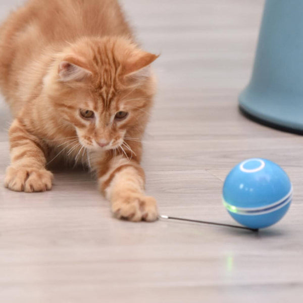 Intelligenter, interaktiver, selbstdrehender Katzenspielzeugball. Kaufen Sie Katzenbedarf auf Mounteen. Weltweiter Versand möglich.