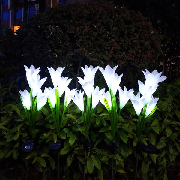 Solar-Lilien-Blumenlichter. Kaufen Sie Nachtlichter und Umgebungsbeleuchtung auf Mounteen. Weltweiter Versand möglich.