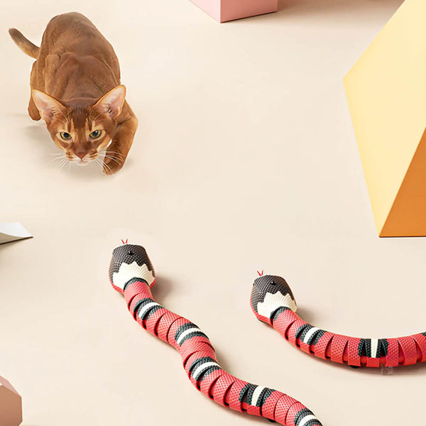 Jouet serpent à détection intelligente rechargeable par USB pour chats. Achetez des jouets pour chats sur Mounteen. Expédition mondiale disponible.
