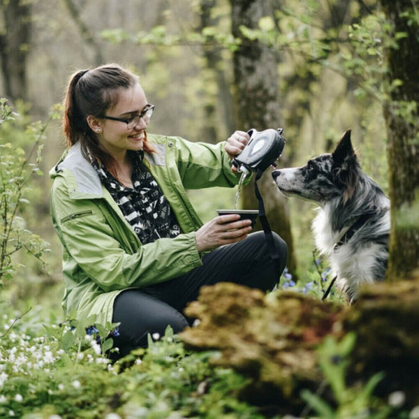 Ceinture de laisse rétractable pour chien 4 en 1. Achetez des laisses pour animaux de compagnie sur Mounteen. Expédition mondiale disponible.