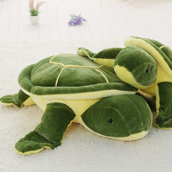 Schildkröten-Plüschtier – Bei Mounteen kaufen