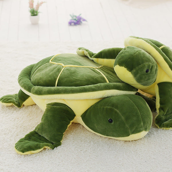 Peluche Tortue - Acheter sur Mounteen