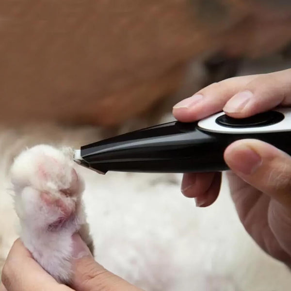 Wie benutzt man eine Haarschneidemaschine für Haustiere? - Mounteen