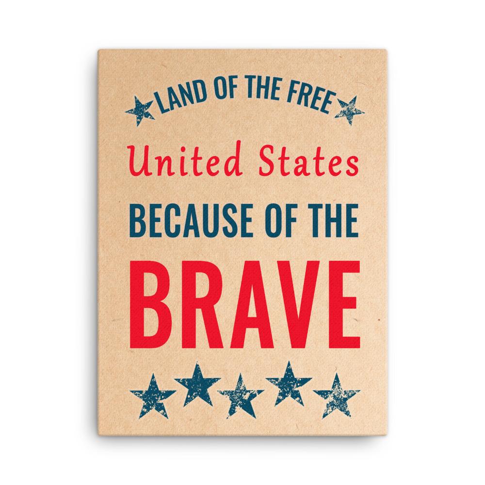 land of the free because of the brave poster