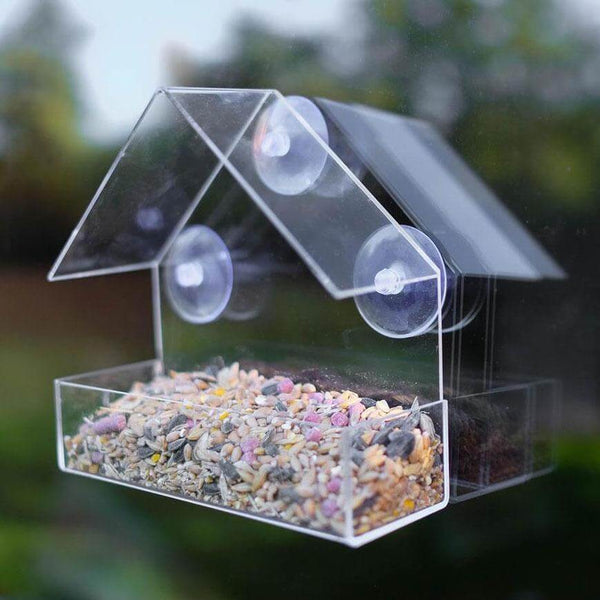 Mangeoire à oiseaux transparente Little House. Achetez des mangeoires à oiseaux sur Mounteen. Expédition mondiale disponible.