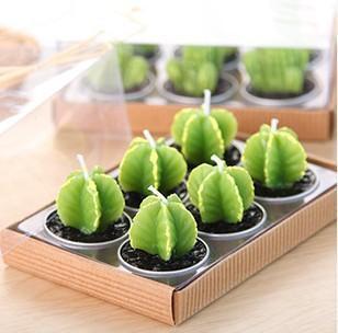 Mini Cactus Candles - Buy online