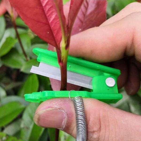 Le moyen facile de tailler et de couper les plantes mortes