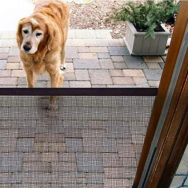 Dog safety gate for the front door
