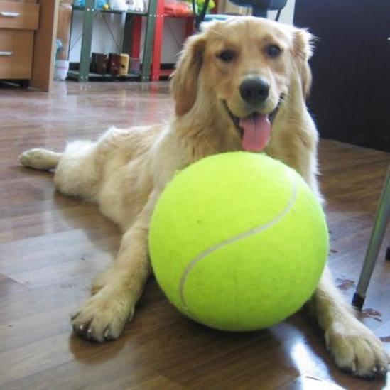 Jumbo Ball for Dogs - Buy online