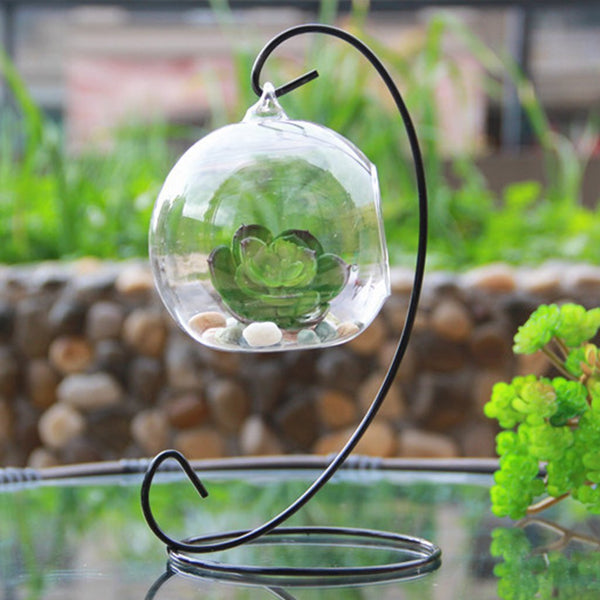 Terrarium en forme de larme en verre à suspendre - Acheter en ligne
