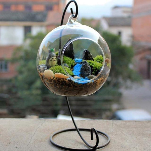 Terrarium en forme de larme en verre suspendu - Acheter sur Mounteen