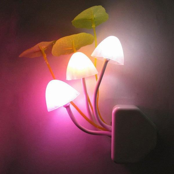 Lucky Mushroom Night Light - Buy on Mounteen