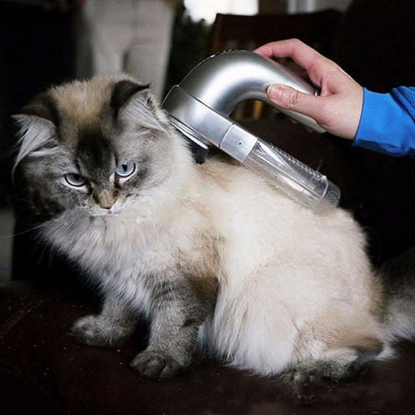 Portable Pet Hair Vacuum - Buy online