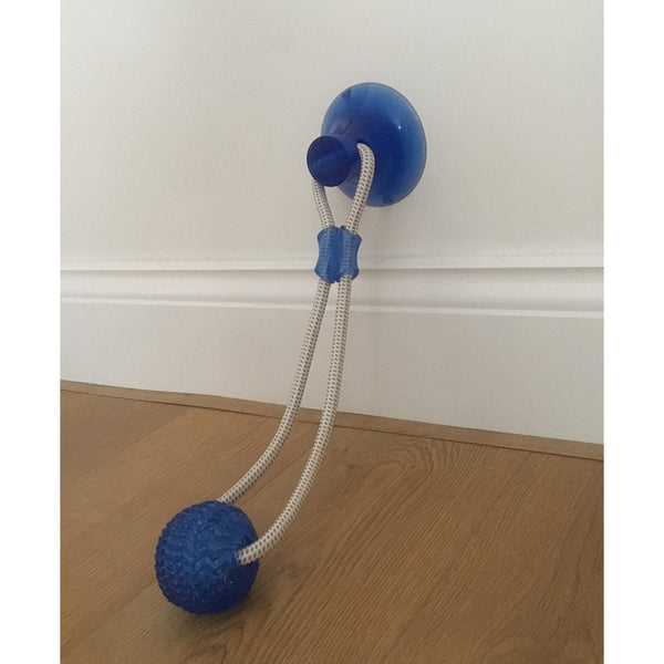 Suction Cup Dog Toy - Buy online