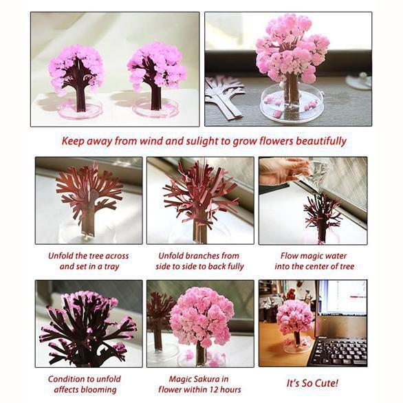 Tissue Paper Cherry Blossom Tree - How to grow