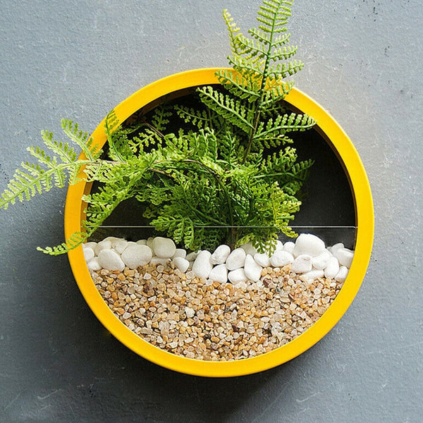 Orbicular Wall Plant Vase - Buy online