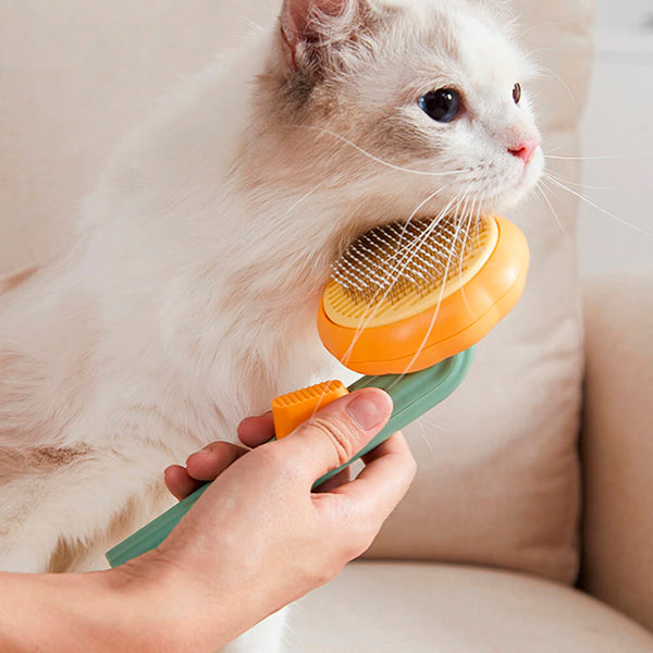 Pumpkin Brush Pet Deshedder - Buy online