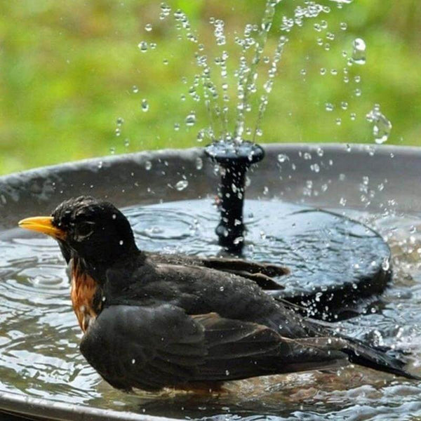 Fontaine de jardin solaire