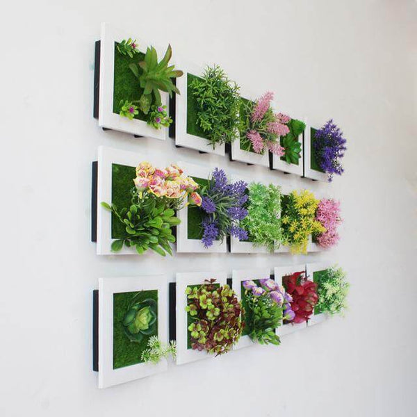 Cadre mural pour plantes succulentes - Acheter en ligne
