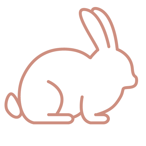 Image of bunny to show products are 