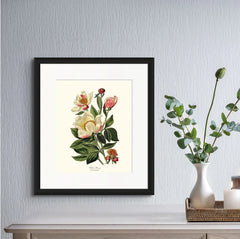 Vintage White Peony Wall Art Print