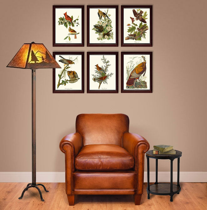 Beautifully Restored Vintage Audubon Bird Print - Unique Wall Decor for  Nature Lovers. Fine Art Print. 11x17, 16x24, 20x30 or 24x36