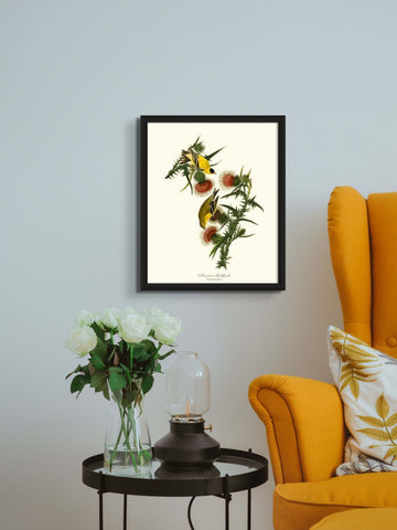 Goldfinch Bird Print Wall Art