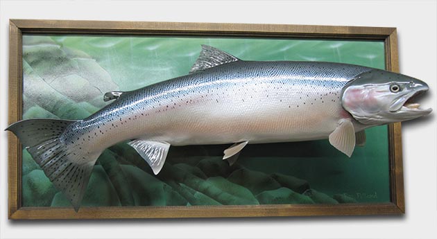 steelhead fish replica