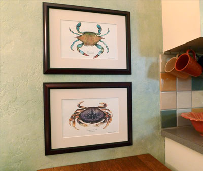 Blue and Dungenous Crab Art Print