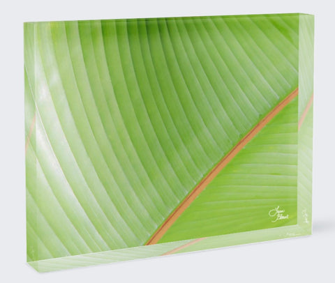 banana leaf 7x5 acrylic block home decor