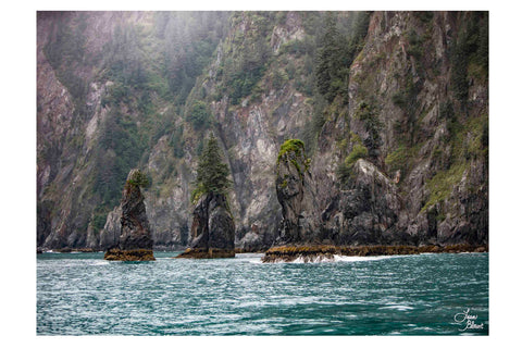 Teal waters surround trees growing on individual rocks in kenai fjords Alaska