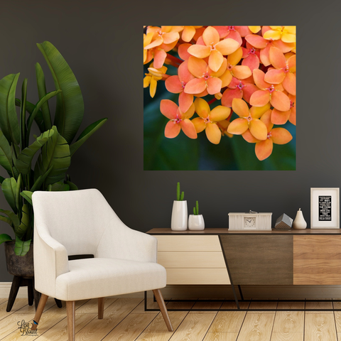 coral jungle geranium art in sitting area above credenza