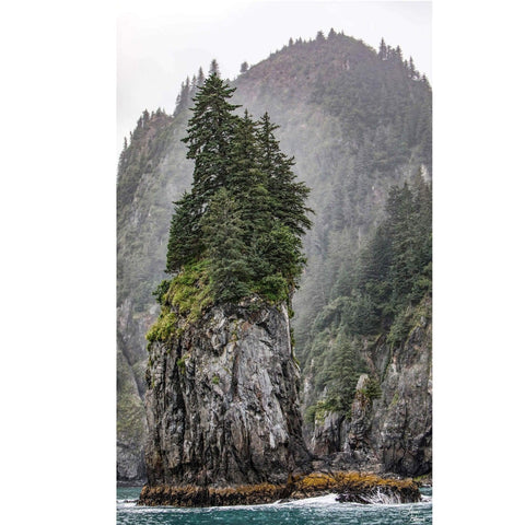 large art of tree standing on a rock that is surrounded by water in resurrection bay alaska