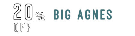 20% Off Big Agnes