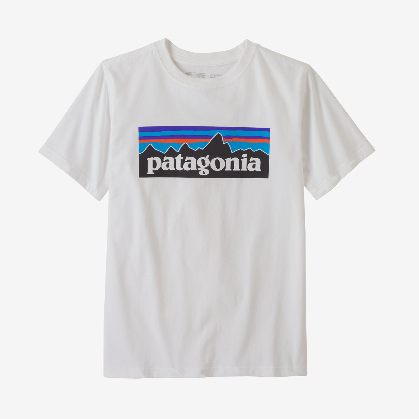 Patagonia Boys' Regenerative Organic Cotton P-6 Logo T-Shirt ...