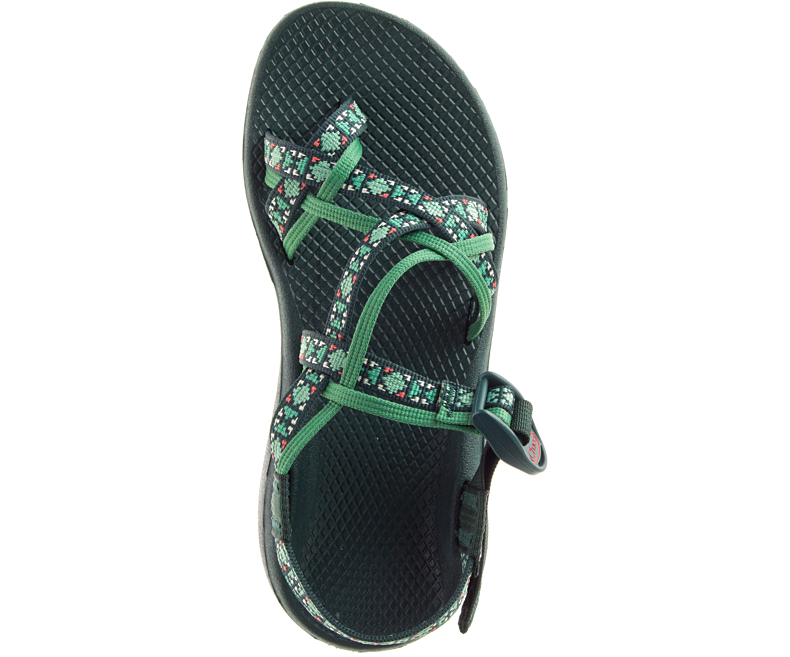 creed pine chacos