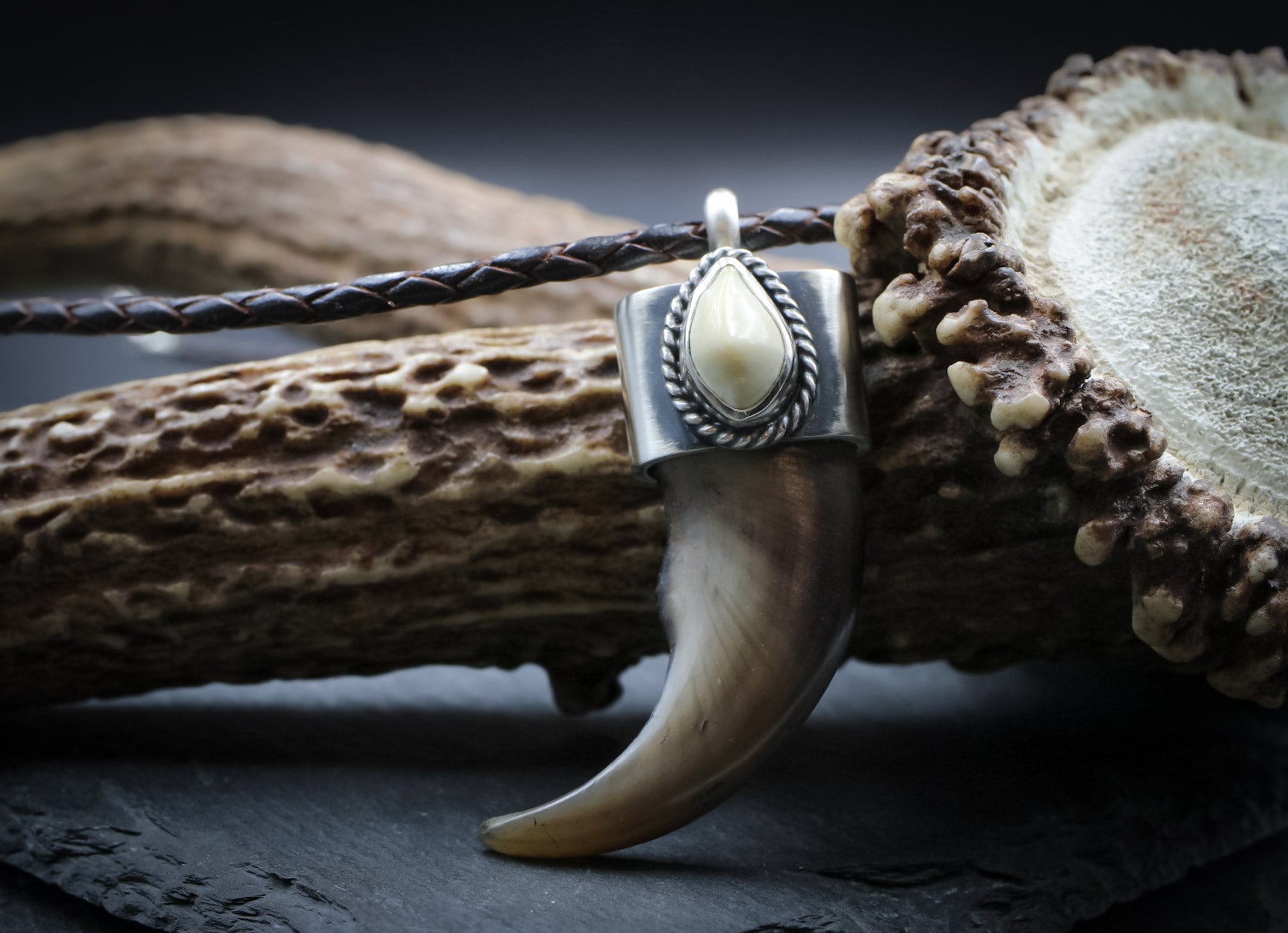 Elk Ivory Bear Claw Bear Claw Necklace
