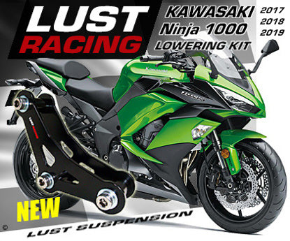 2019 kawasaki ninja 1000