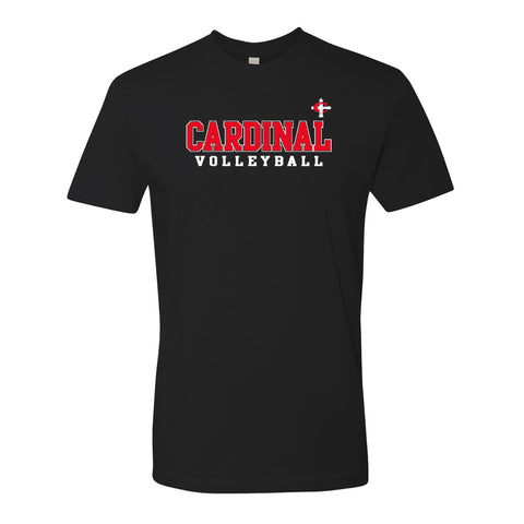 Concordia Cardinal Closet Dirty Birds Football T-Shirt- Black – Concordia  Ann Arbor