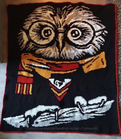 Bubo Goes To Hogwarts Graphghan