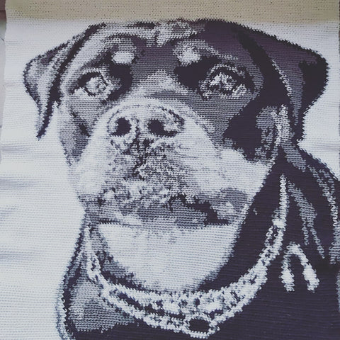 Custom dog photoghan