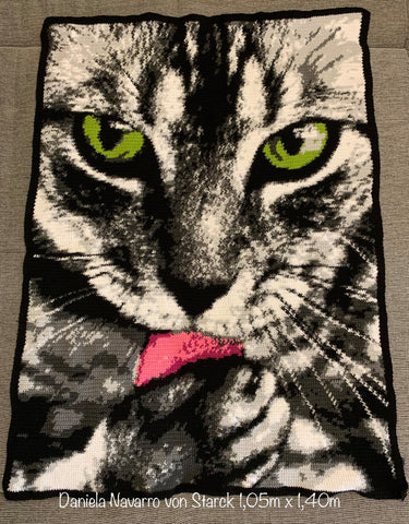 Cat Licking Paw Graphghan