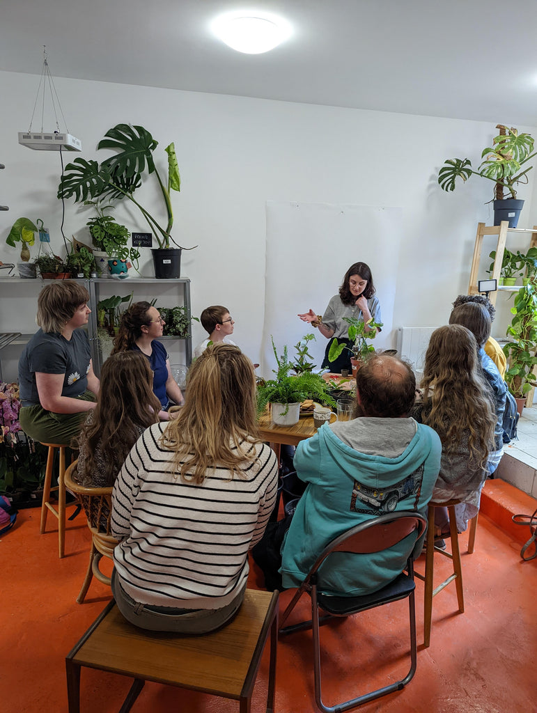 Plant Care Class at our Bristol Shop in June 2022