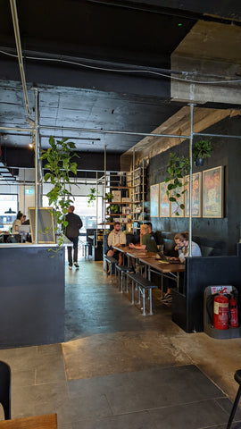 Mint Plants at Dareshack Bristol