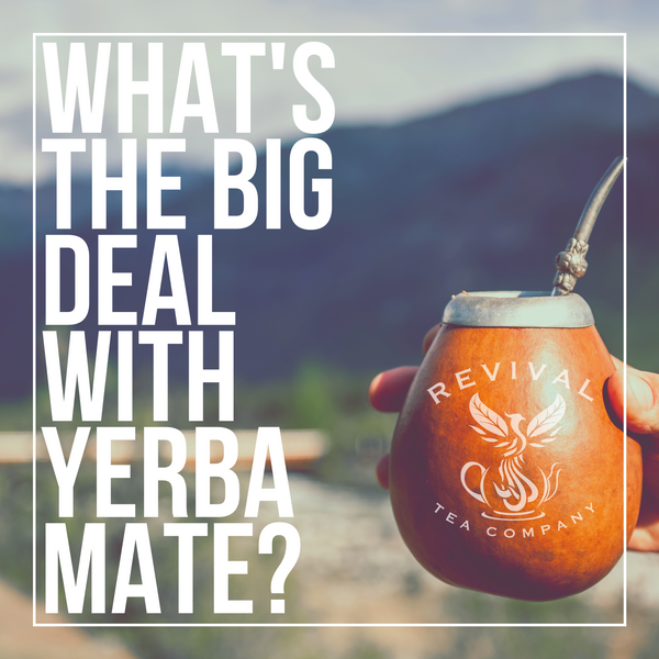 What's The Big Deal With Yerba Mate?