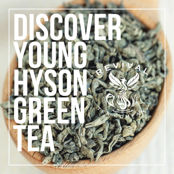 Young Hyson Green Tea