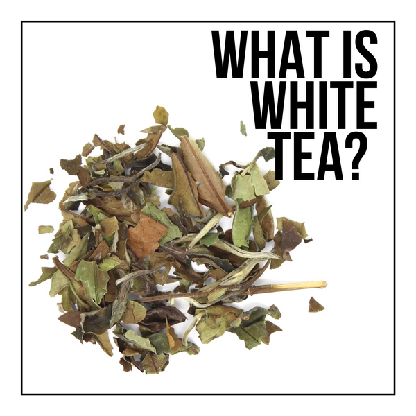 What Is White Tea?