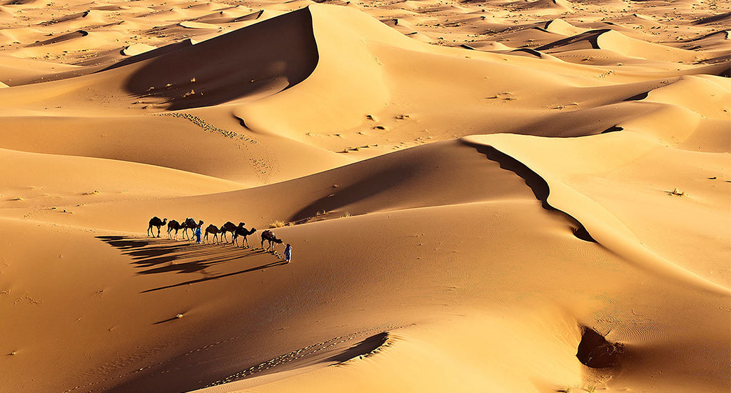 overlooking a desert in Morocco camel riding mischa blog