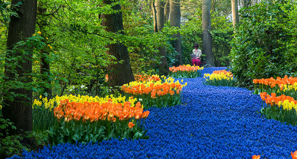 Netherlands Keukenhof mischa blog